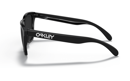 Immagine di OAKLEY occhiali FROGSKINS™ CHECKBOX COLLECTION