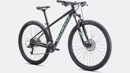 Picture of SPECIALIZED ROCKHOPPER SPORT 29 Satin Forest MY22